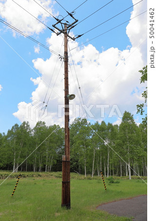 北海道 電信柱 北海道 電信柱 50041462