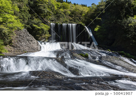 新緑の龍門の滝 50041907