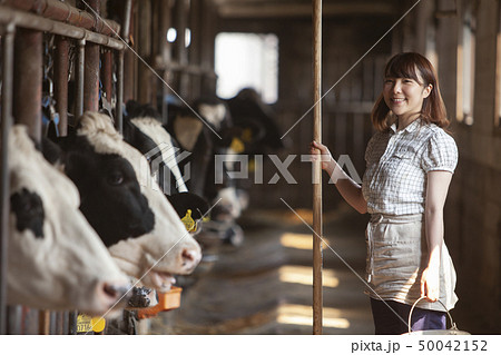 牛舎 女性 牛舎 女性 50042152