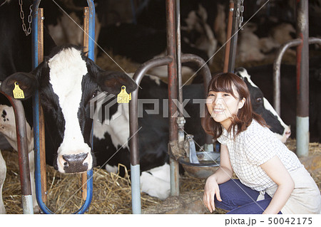 牛舎 女性 牛舎 女性 50042175