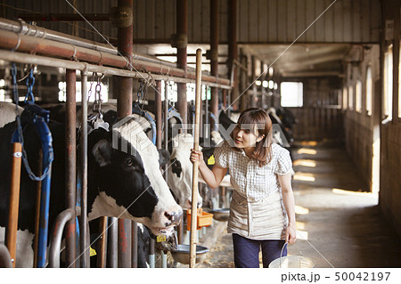 牛舎　女性 50042197