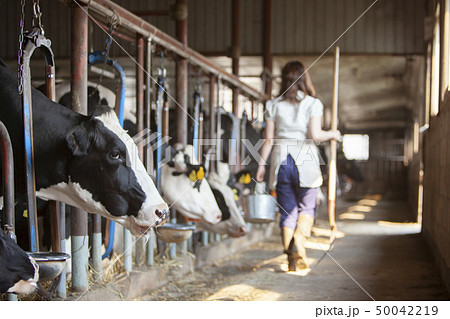 牛舎　女性 50042219