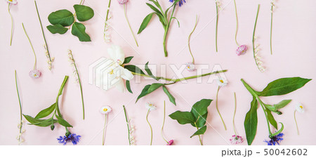 Flat-lay of lily of the valley, cornflower, daisy 50042602