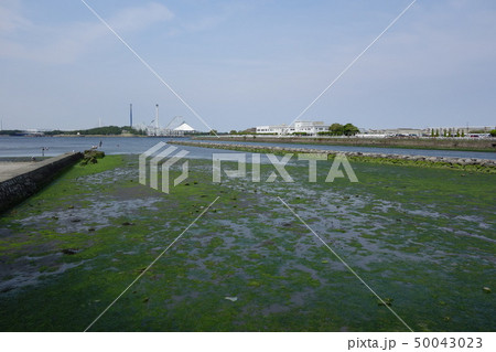 野島公園 野島公園 50043023