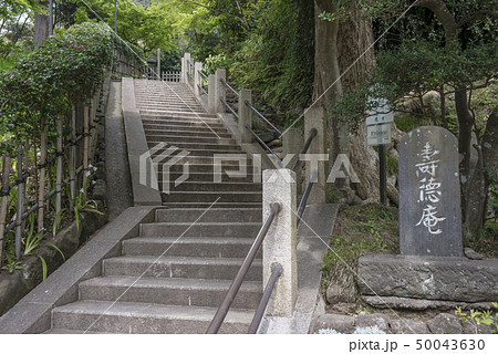 円覚寺塔頭 寿徳庵(鎌倉市山ノ内) 円覚寺塔頭 寿徳庵(鎌倉市山ノ内) 50043630