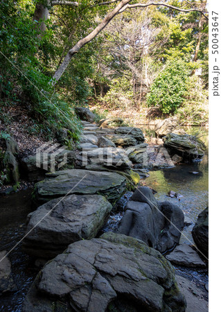 育徳園心字池（三四郎池） 50043647