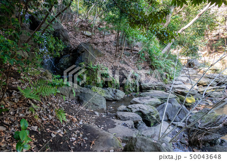 育徳園心字池（三四郎池） 50043648