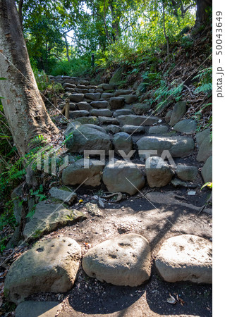 育徳園心字池（三四郎池） 50043649