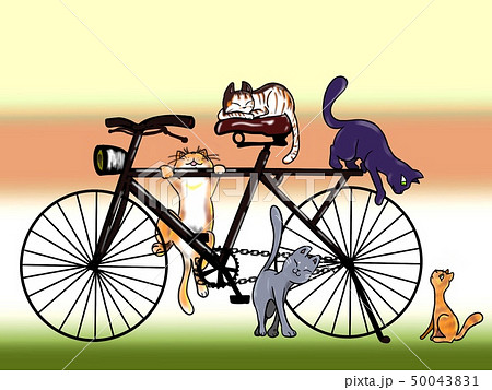 猫と自転車のイラスト素材