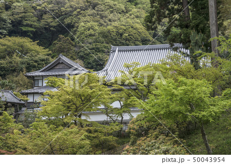円覚寺塔頭　佛日庵（鎌倉市山ノ内） 50043954