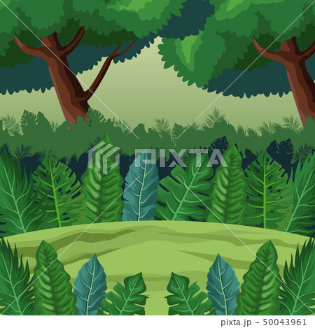 Jungle Landscape Cartoonのイラスト素材