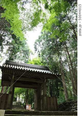 安楽律院 50044015