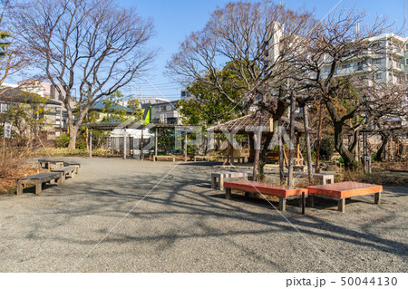 冬の向島百花園 50044130
