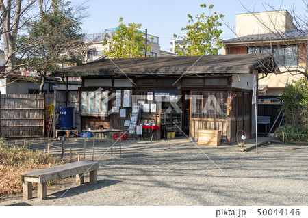 冬の向島百花園 50044146