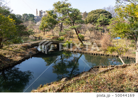 冬の向島百花園 50044169