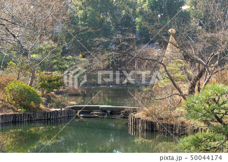 冬の向島百花園 50044174