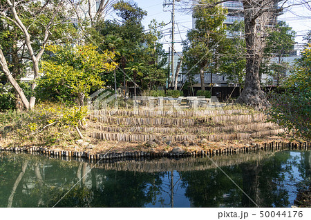 冬の向島百花園 50044176