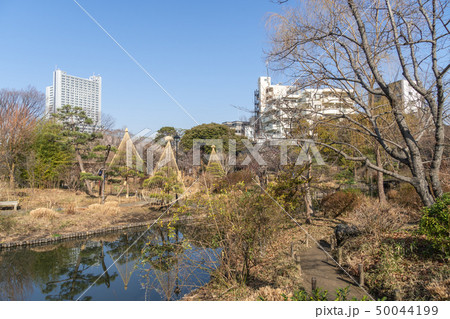 冬の向島百花園 50044199
