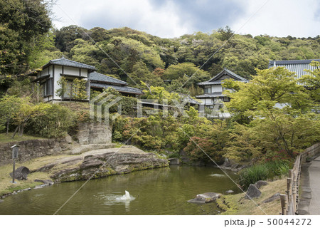 円覚寺 妙香池(鎌倉市山ノ内) 円覚寺 妙香池(鎌倉市山ノ内) 50044272