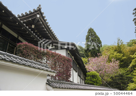 円覚寺塔頭　佛日庵（鎌倉市山ノ内） 50044464