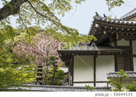 円覚寺塔頭　佛日庵（鎌倉市山ノ内） 50044533
