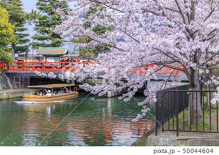 岡崎疎水 岡崎疎水 50044604