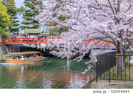 岡崎疎水 岡崎疎水 50044605
