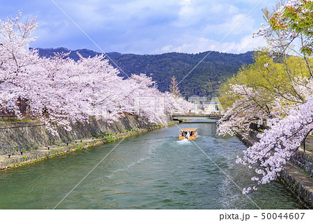 岡崎疎水 岡崎疎水 50044607