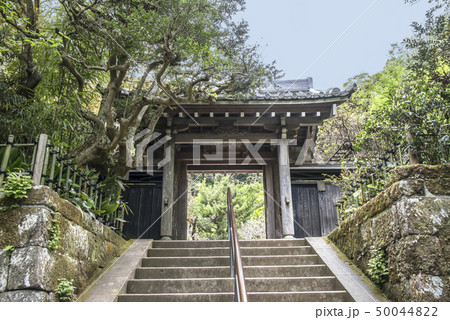 円覚寺塔頭　黄梅院山門（鎌倉市山ノ内） 50044822