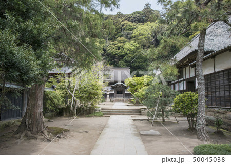 円覚寺塔頭 正続院(鎌倉市山ノ内) 円覚寺塔頭 正続院(鎌倉市山ノ内) 50045038