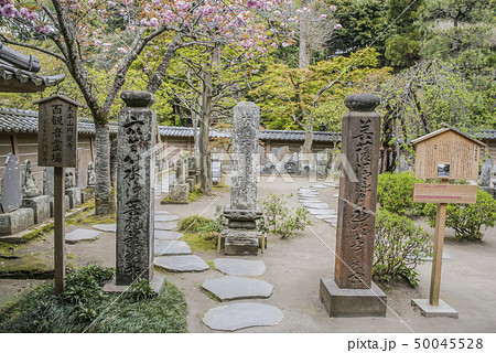 円覚寺方丈の百観音(鎌倉市山ノ内) 円覚寺方丈の百観音(鎌倉市山ノ内) 50045528
