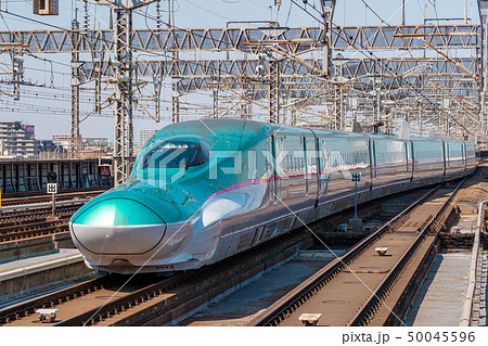 新幹線　E5系 50045596