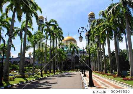 ジャメ・アスル・ハッサナル・ボルキア・モスク（ニューモスク） 50045630