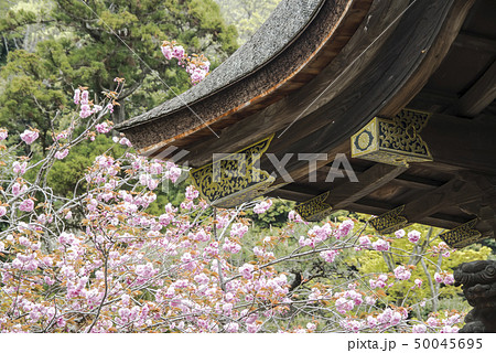 円覚寺唐門（鎌倉市山ノ内） 50045695