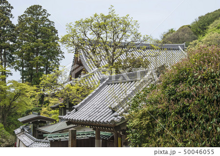 円覚寺塔頭　佛日庵（鎌倉市山ノ内） 50046055