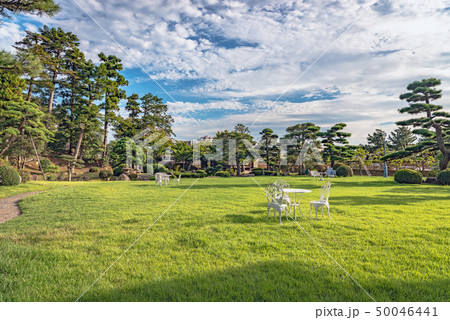 仁風閣 宝隆院庭園の風景 50046441