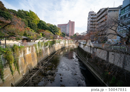 江戸川橋　神田川沿い 50047031