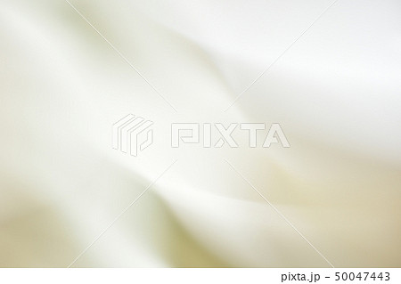 ホワイト系の抽象背景　 50047443
