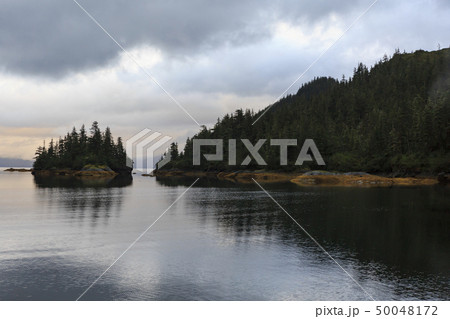 アラスカ、プリンスウィリアム湾　森に囲まれた入江 50048172
