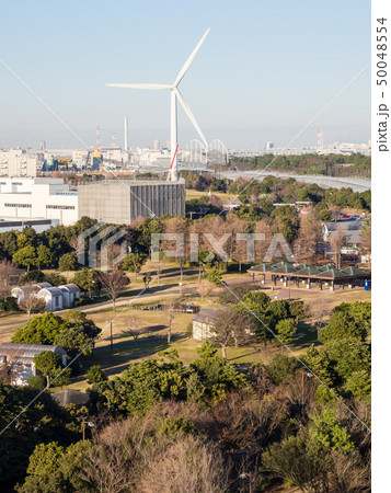 若洲海浜公園 50048554