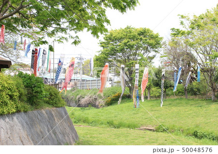 瀬谷区　和泉川 50048576