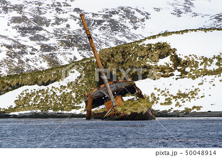 朽ち果てた捕鯨船と捕鯨基地　サウスジョージア島　プリンスオーラブハーバ 50048914