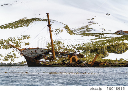 朽ち果てた捕鯨船と捕鯨基地 サウスジョージア島 プリンスオーラブハーバ 朽ち果てた捕鯨船と捕鯨基地 サウスジョージア島 プリンスオーラブハーバ 50048916