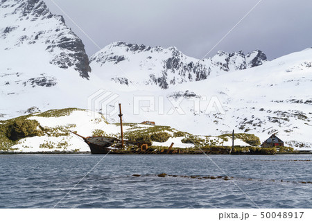 朽ち果てた捕鯨船と捕鯨基地 サウスジョージア島 プリンスオーラブハーバ 朽ち果てた捕鯨船と捕鯨基地 サウスジョージア島 プリンスオーラブハーバ 50048917