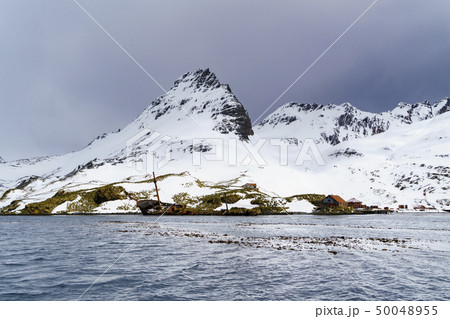 朽ち果てた捕鯨船と捕鯨基地 サウスジョージア島 プリンスオーラブハーバー 朽ち果てた捕鯨船と捕鯨基地 サウスジョージア島 プリンスオーラブハーバー 50048955