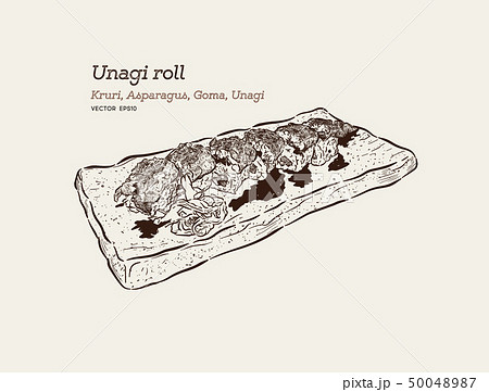 Unagi roll, hand draw sketch vector. 50048987