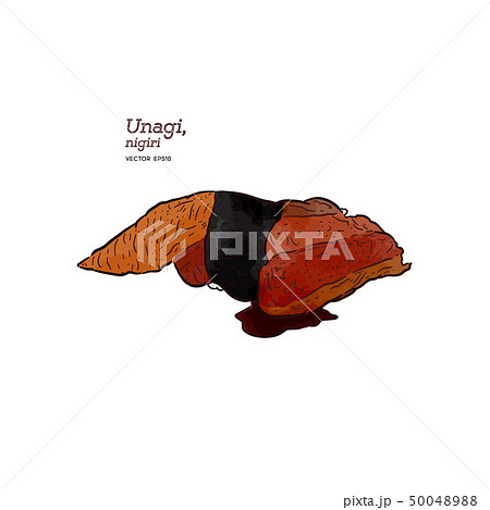 Unagi nigiri, hand draw sketch vector. 50048988