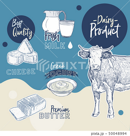 hand drawn vector sketch Dairy products set - 50048994
