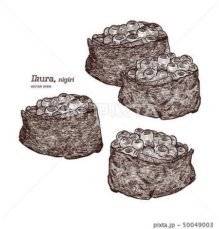 Ikura nigiri, hand draw sketch vector. 50049003