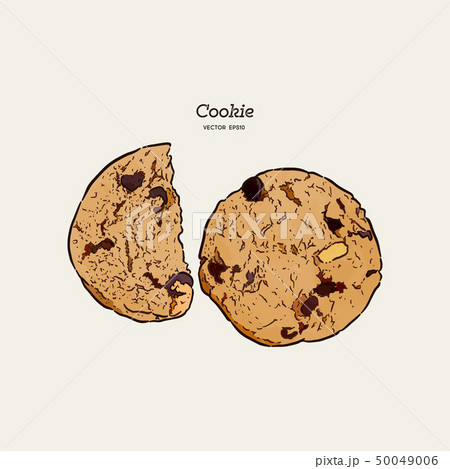Chocolate chip cookie, hand draw sketch vector. Chocolate chip cookie, hand draw sketch vector. 50049006